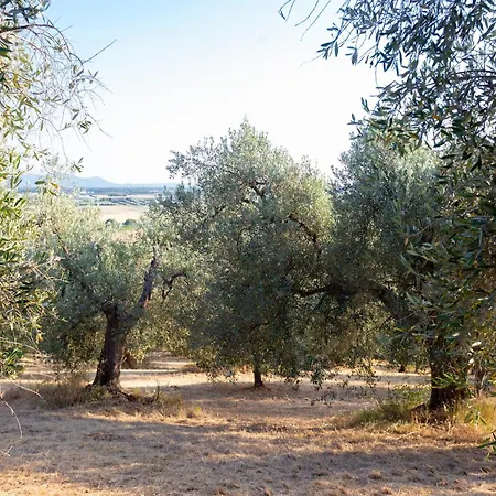 Agroturismo Giardino Sulla Maremma